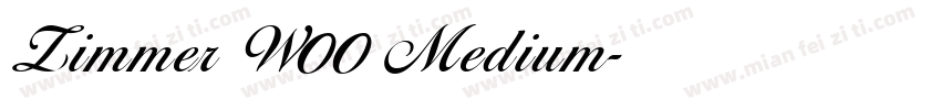 Zimmer W00 Medium字体转换